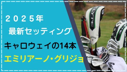 【2025年11月】エミリアーノ・グリジョのクラブセッティング